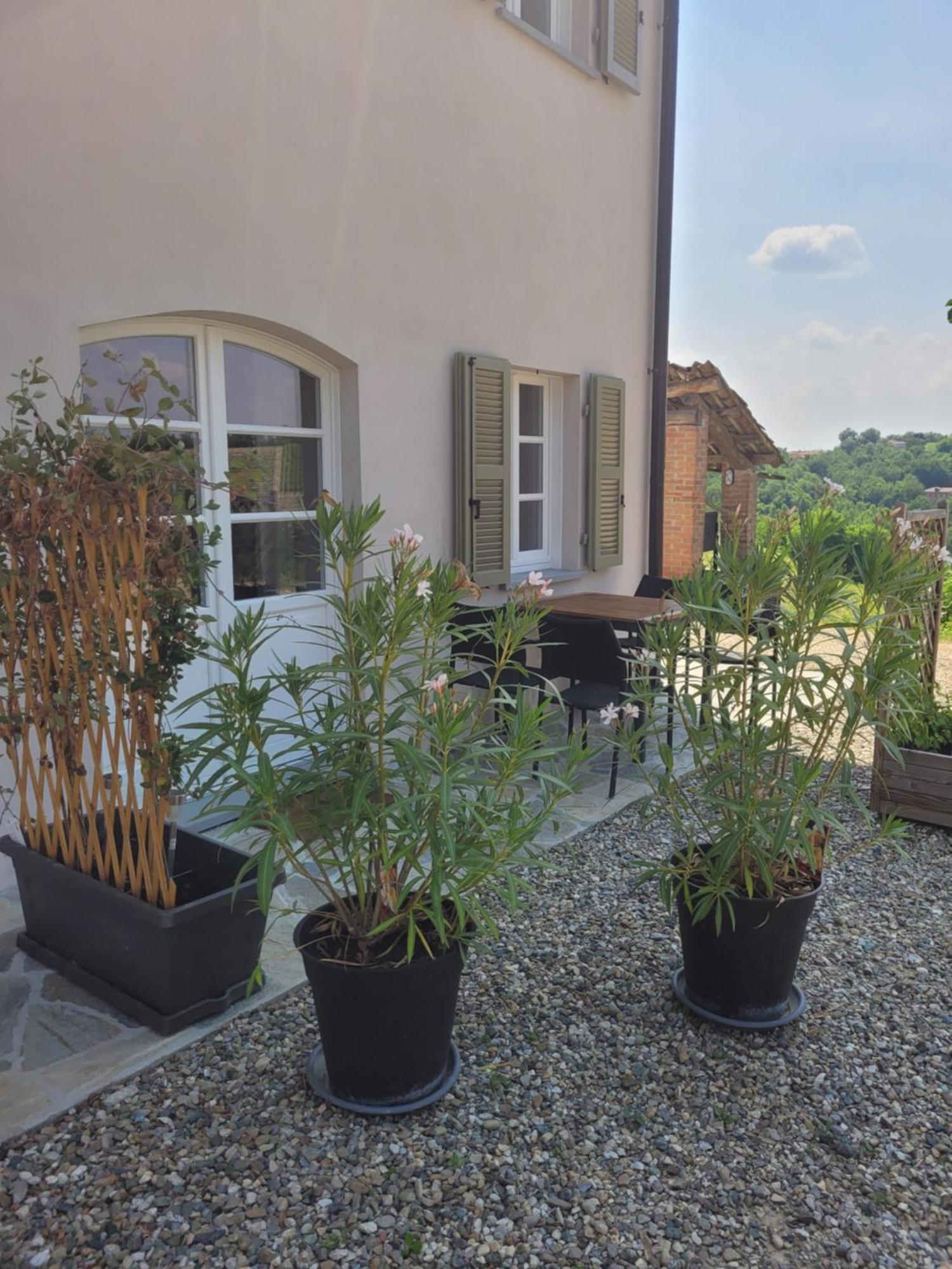 Cascina Allegria Castelnuovo (Asti) Exterior foto