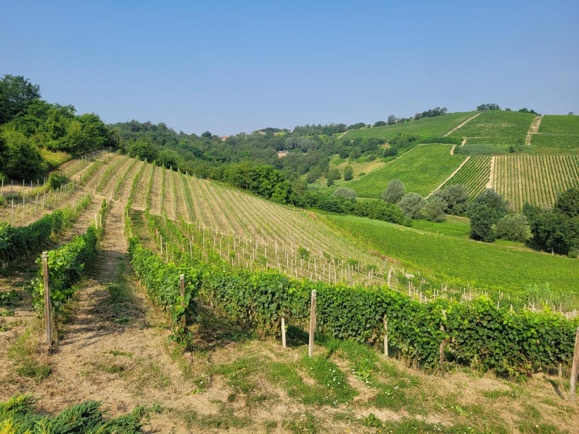 Cascina Allegria Castelnuovo (Asti) Exterior foto