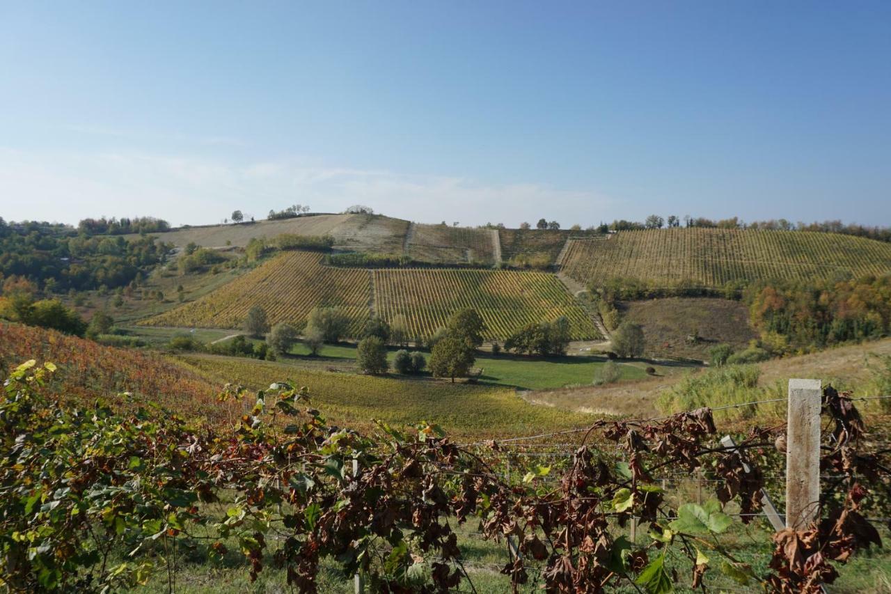 Cascina Allegria Castelnuovo (Asti) Exterior foto
